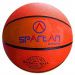 Florida basketbal - Spartan

