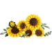LEGO® Botanicals: Kytice slunečnic (11502) obrázek 2