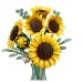 LEGO® Botanicals: Kytice slunečnic (11502) obrázek 3