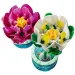 LEGO® Botanicals: Lekníny (11511) obrázek 3