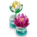 LEGO® Botanicals: Lekníny (11511) obrázek 6
