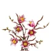 LEGO® Botanicals: Magnóliové větve (11510) obrázek 4