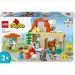 LEGO® DUPLO®: Péče o zvířata na farmě (10416)