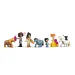 LEGO® Friends: Poní farma a stáj (42654)