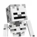LEGO® Minecraft: Kostlivec (21594) obrázek 3