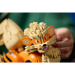 LEGO® Pokémon: Arcanine (72160)