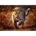 Leopard Premium Plus 1000dílné puzzle - Trefl
