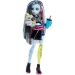 Monster High panenka Frankie Stein s doplňky - Mattel