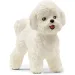 Schleich: Figurka psa Bichon Frise (13963)