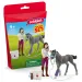 Schleich: Péče o koně s hříbětem Trakehner (42752)