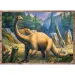 Zajímavé dinosaury 4 v 1 puzzle - Trefl