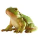 Zelená listová žába - hračková figurka Bullyland.
