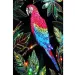 Diamantové puzzle: Sada na malování diamanty Papoušek 10x15cm obrázek 1