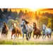 Divoké koně 1500ks puzzle - Trefl obrázek 2