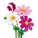 LEGO® Botanicals: Motýlí květiny (11514) obrázek 4