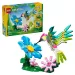 LEGO® Creator: Divoká zvířata: Barevný kolibřík (31384) obrázek 1