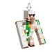 LEGO® Minecraft: Kuřecí, útok na poušti (21592) obrázek 5