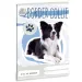 Roztomilá zvířata - Border Collie kostkovaný sešit A/5