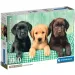 Tři malí labradoři 1000 dílků HQC puzzle s plakátem - Clementoni